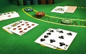 hx555 Blackjack TableChamp